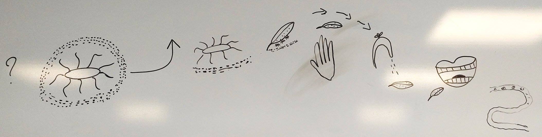 18921014_10159473226775377_3328650911674554807_o